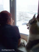 3. А мы сидим, в окно глядим. Автор: Марина Васильева. Гомель, Республика Беларусь
